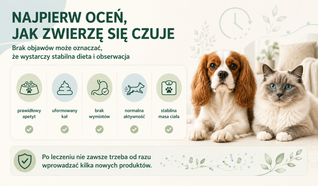 jak wspierać po leczeniu 1