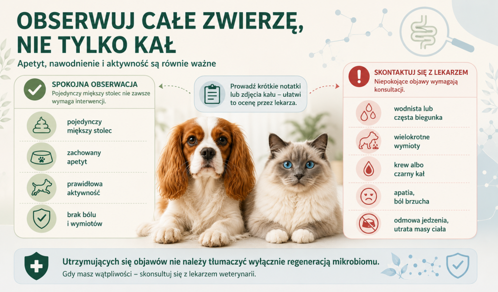 jak wspierać po leczeniu 3