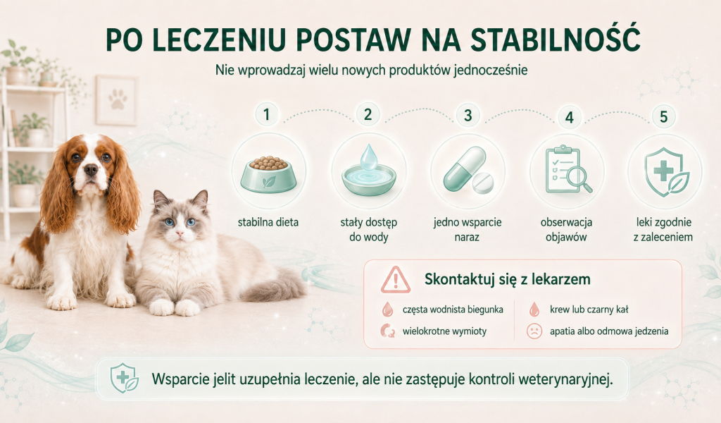 mikrobiom po antybiotykoterapii 3